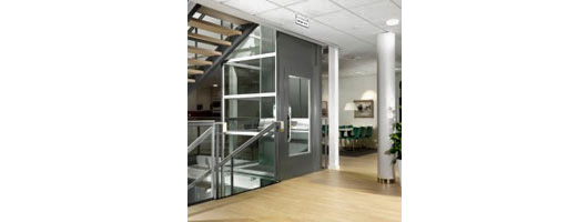 Swedish Style 250kg Rated Residential Platform Lift