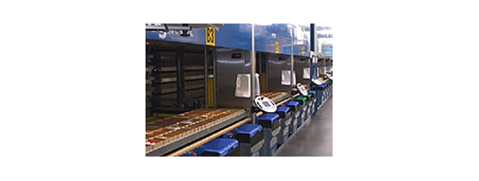 Automated storage for high volume, heavy duty, high speed picking