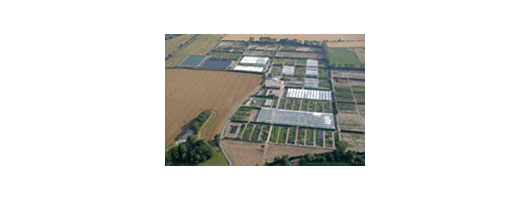Palmstead Nursery- Aerial View