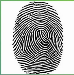 Fingerprint Recognition Systems