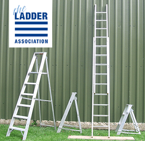 The Ladder Association User/Inspector Course (combined)