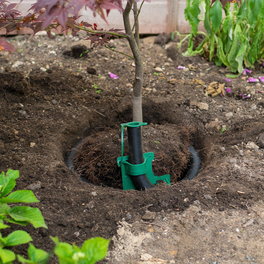 Tree Irrigation & Aeration