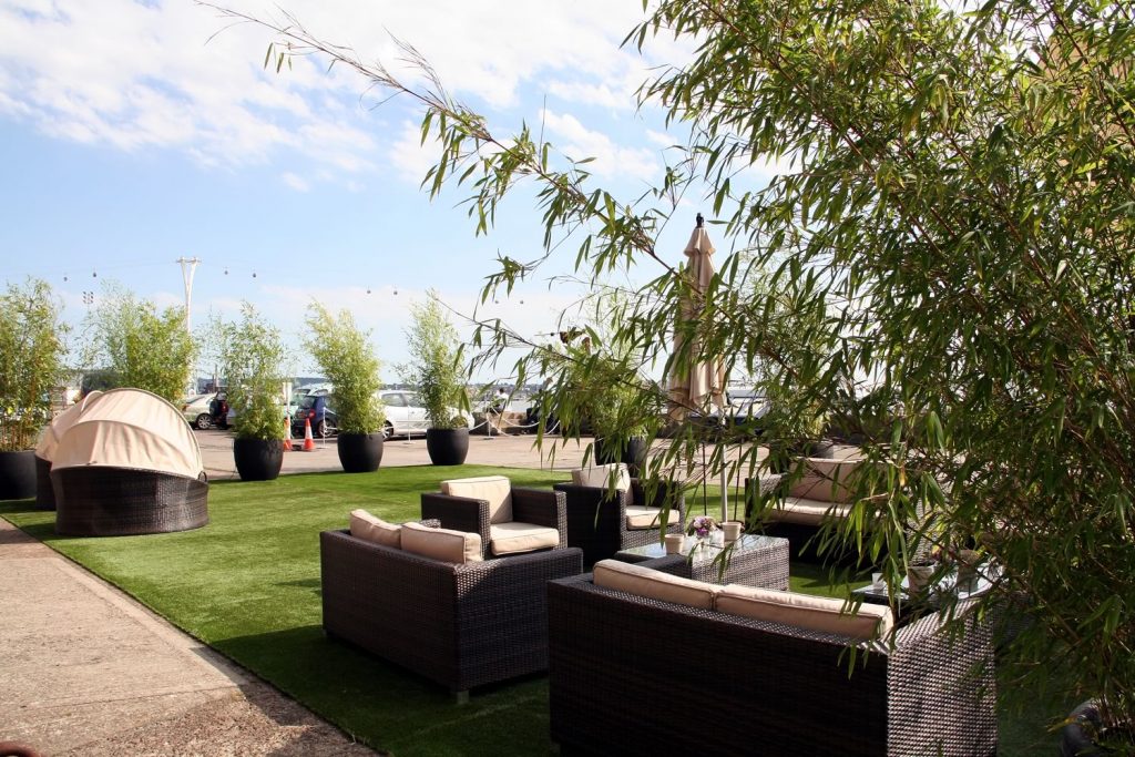 Hire Large Bamboos to Create Jungles, Rain forests or just as Beautiful plants