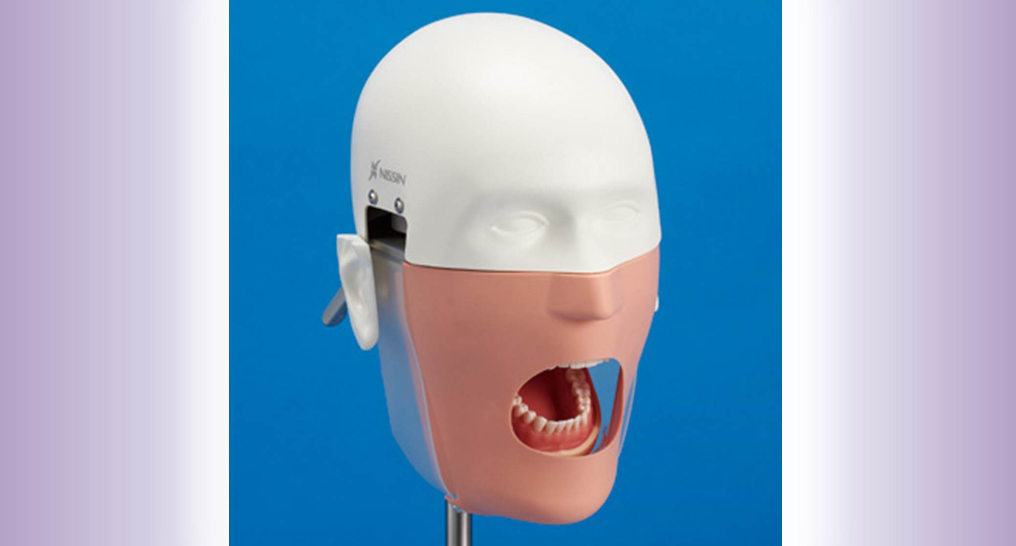 Manikin Head Dental Simulators