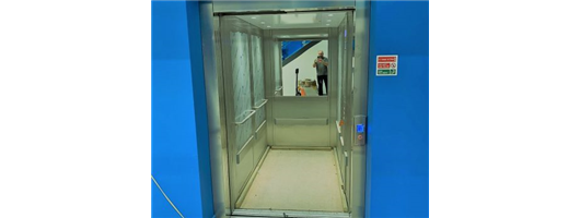 C1000 AX MRL Passenger Lift