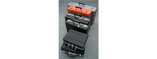 ABS Cases