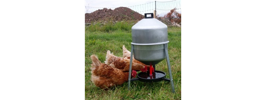 Poultry Feeders & Drinkers
