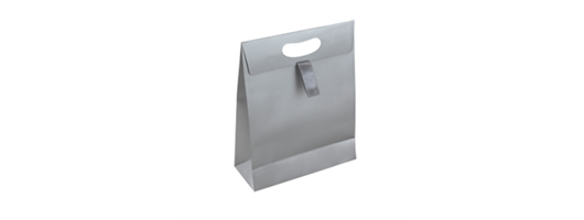 Matt Laminated Ribbon Handle Paper Gift Bags