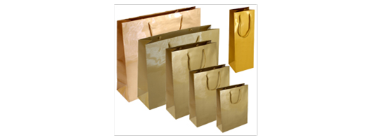 Gloss Laminated Paper Gift Bags with Rope Handle