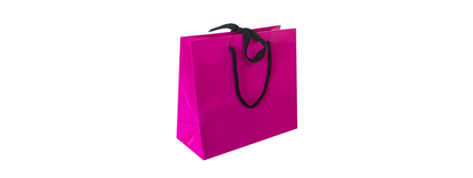 Ribbon Tie Laminated Paper Gift Bags