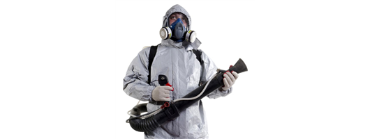 Highly Trained Pest Control Professionals