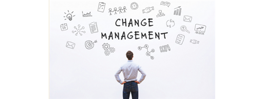 Managing Change 