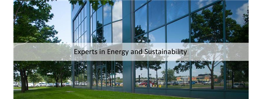 Experts in Energy and Sustainability
