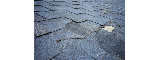 Roof Repairs / Flat Roof Repairs / Storm Damage Repairs / Lead Work 