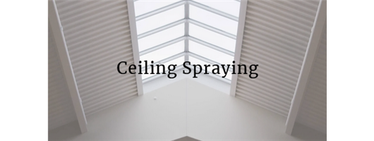  Ceiling Spraying