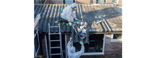  Prompt & Professional Asbestos Solutions 