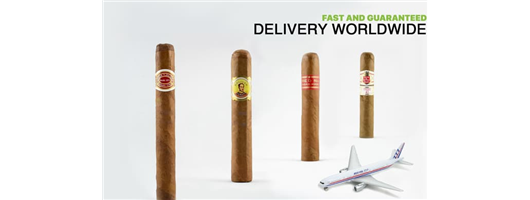 Fast & Guaranteed Delivery Worldwide