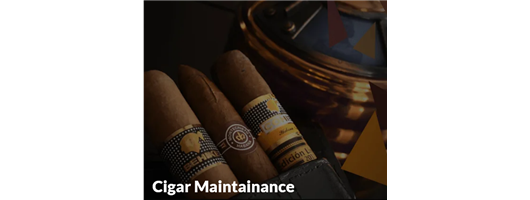 Cigar Maintainance