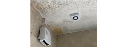  Condensation & Mould Issues You Need to Fix? 