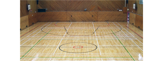 Sports Hall Flooring