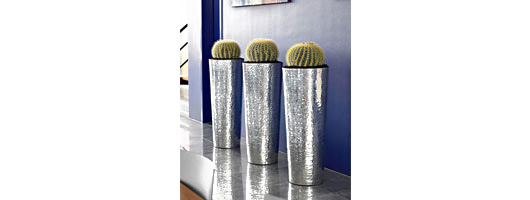 Barrel Cactus- Set of 3