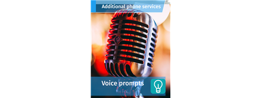 Voice Prompts, Hold Music & Announcements
