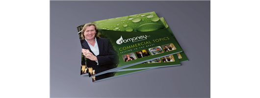 Domoney Promotional Brochure