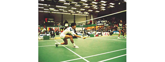 Badminton Netting