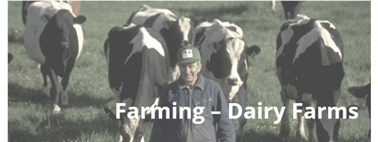 Farming – Dairy Farms