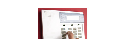 Electronic Security Products