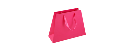 Medium Dark Pink Paper Gift Bags