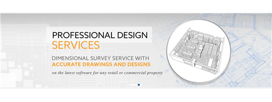 Professional Design Services