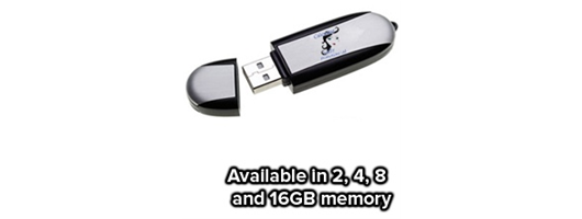 Promotion with Logo Branded USB Flash Drives