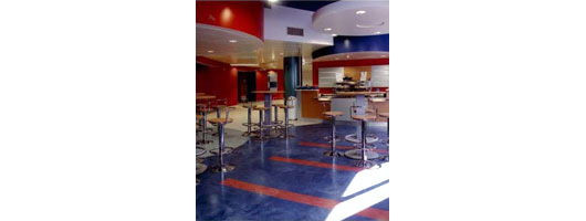 Decorative flooring for the commercial sector