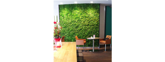 Moss wall panels