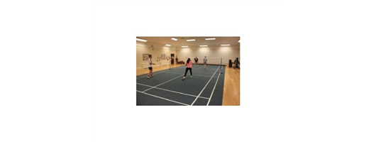 Portable Badminton Court