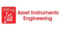 Asset Instruments Engineering Ltd logo 002
