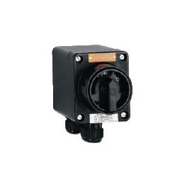 Atex Isolator Safety Switch, 10A 230V 3 Pole