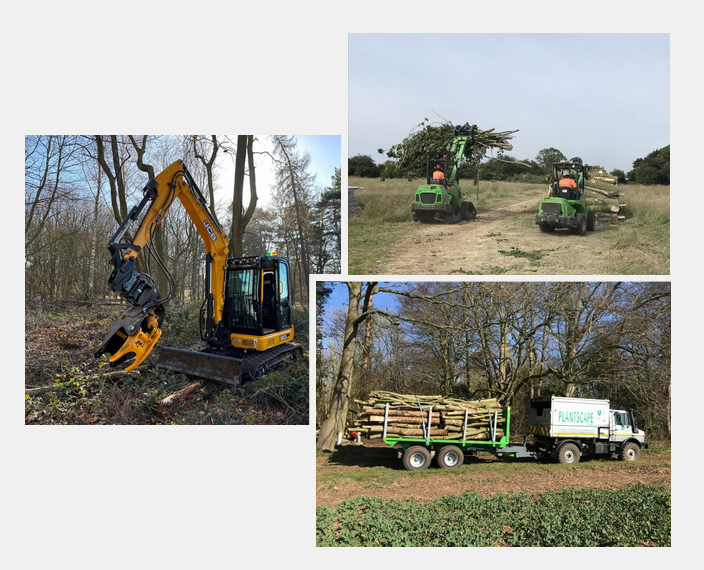 Forestry & Site Clearance