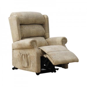 Dual Motor Rise and Recliner Chairs