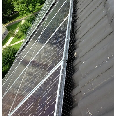 Solar Panel Proofing Services in Wantage 