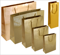 Gloss Laminated Paper Gift Bags with Rope Handle