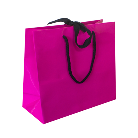 Ribbon Tie Laminated Paper Gift Bags