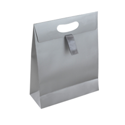 Matt Laminated Ribbon Handle Paper Gift Bags