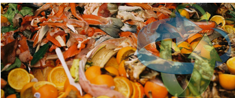 Commercial Food Waste Disposal