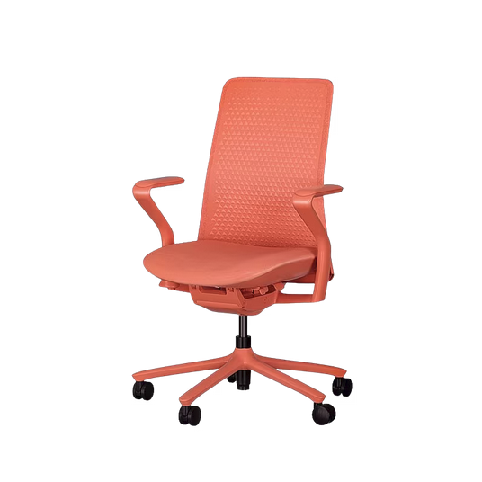 POLY Ergonomic Office and Home Chair