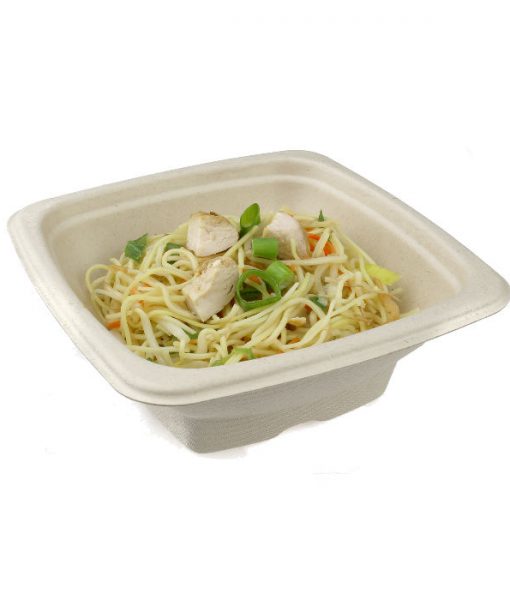 500cc Compostable Salad Plate – PP500 cased 300