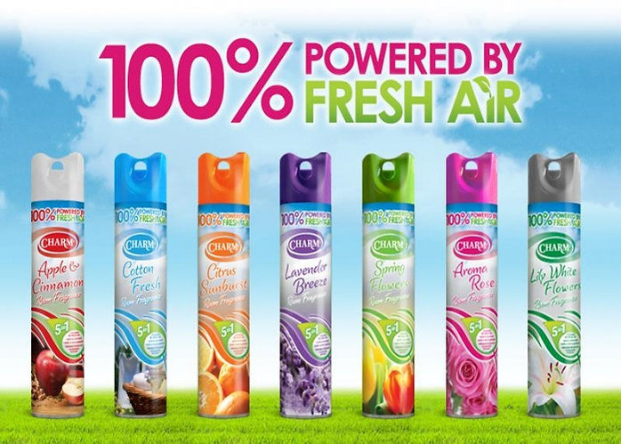 12 Pack of Charm Air Freshener