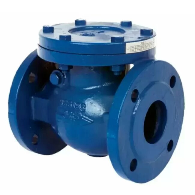 Check Valves & Strainers