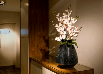 Orchid Displays for Hotels